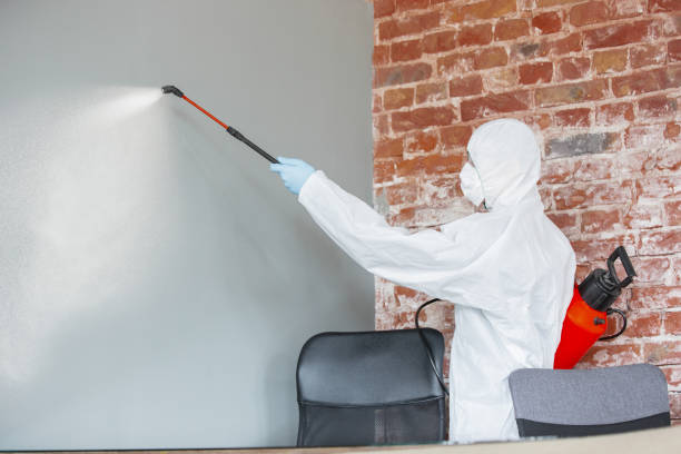 Best Comprehensive Air Testing for Mold Contaminants  in Babbitt, MN
