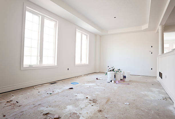Best Water Damage & Mold Remediation  in Babbitt, MN