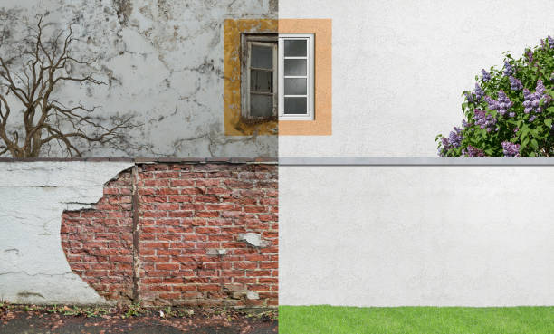 Best Mold Documentation for Insurance Claims  in Babbitt, MN