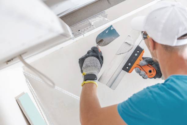 Best Crawl Space Mold Remediation  in Babbitt, MN